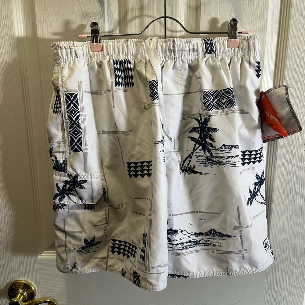 Quicksilver Swim Trunks